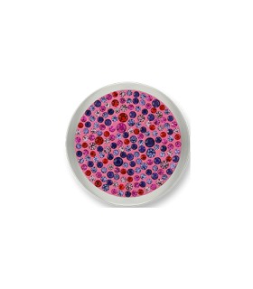 Mi Moneda swarovski crystal picante pink steel disc - SW-PIC-23-L