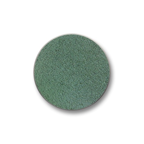 Mi Moneda suede green steel disc - SUE-11-48-S
