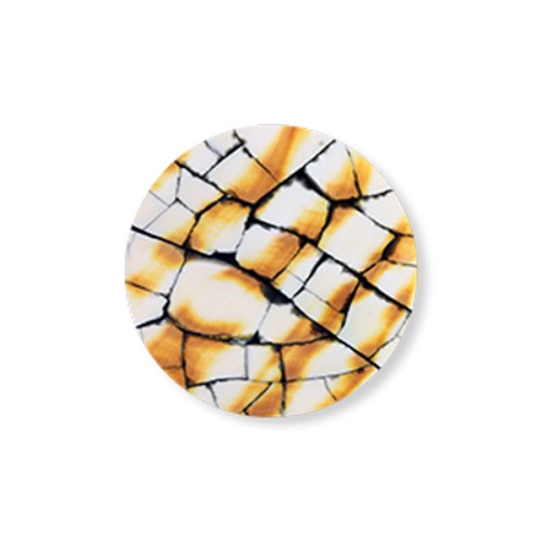 Mi Moneda naturalize sand natural shell disc - NAT-AR-M