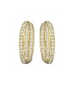 Volatile pierced earrings - 5007754